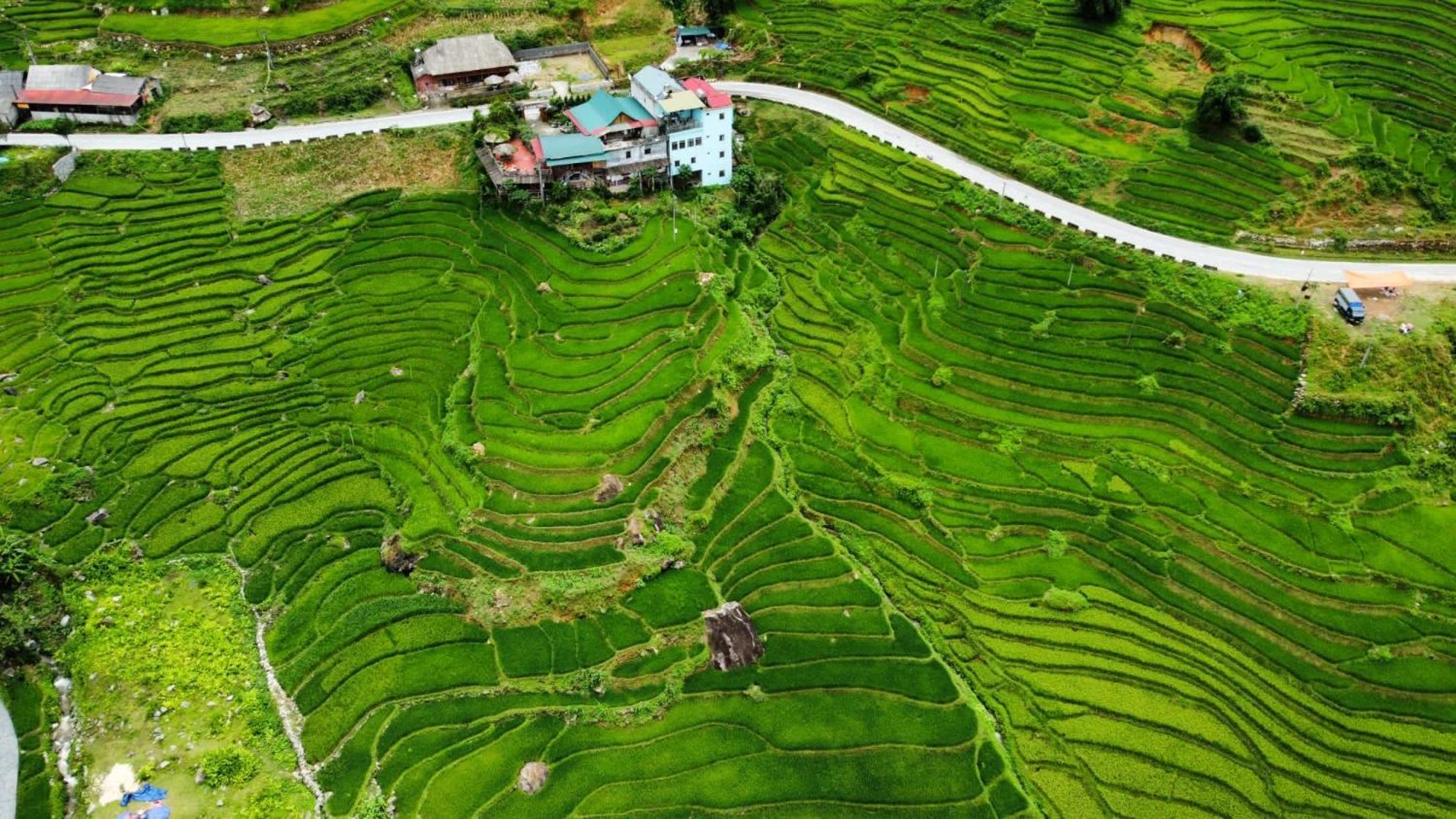 Hoa'S Homestay Sapa Exterior photo