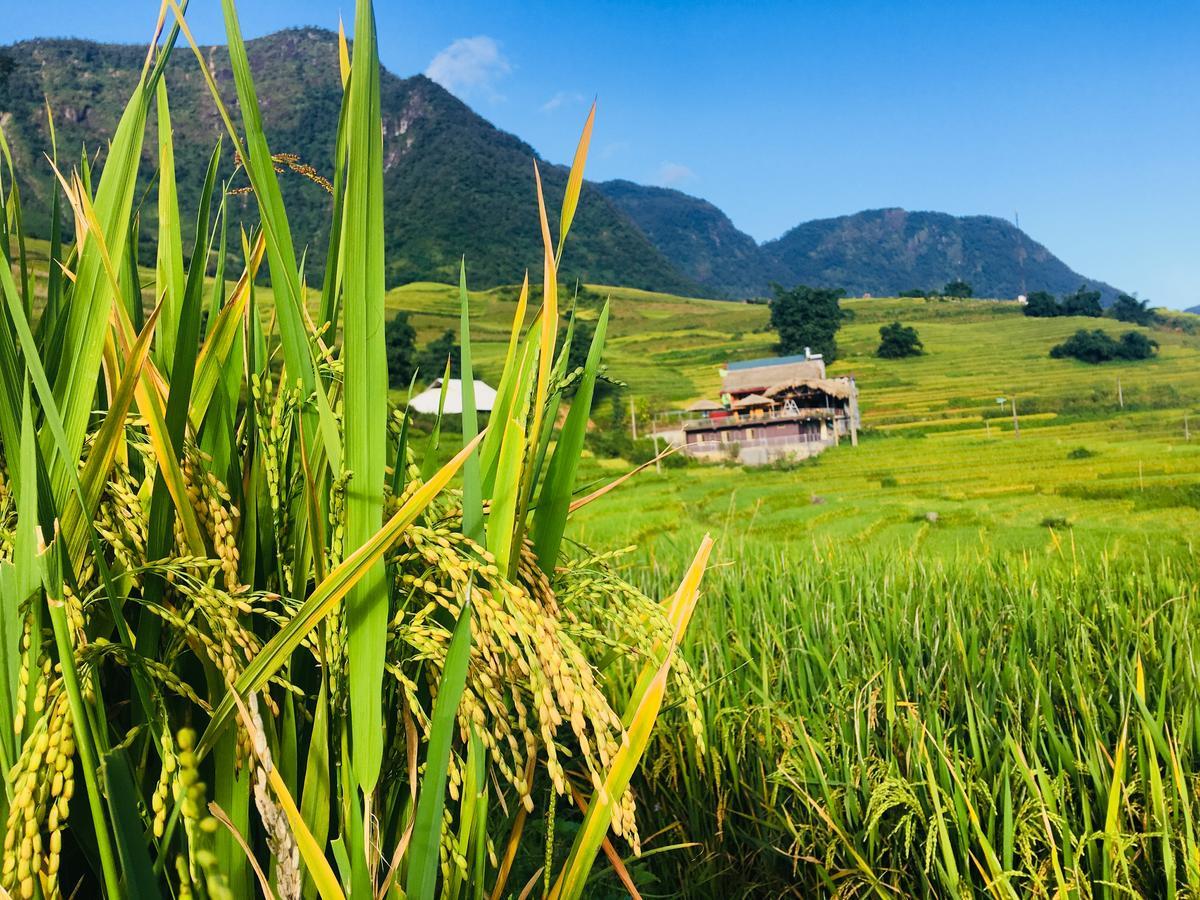 Hoa'S Homestay Sapa Exterior photo