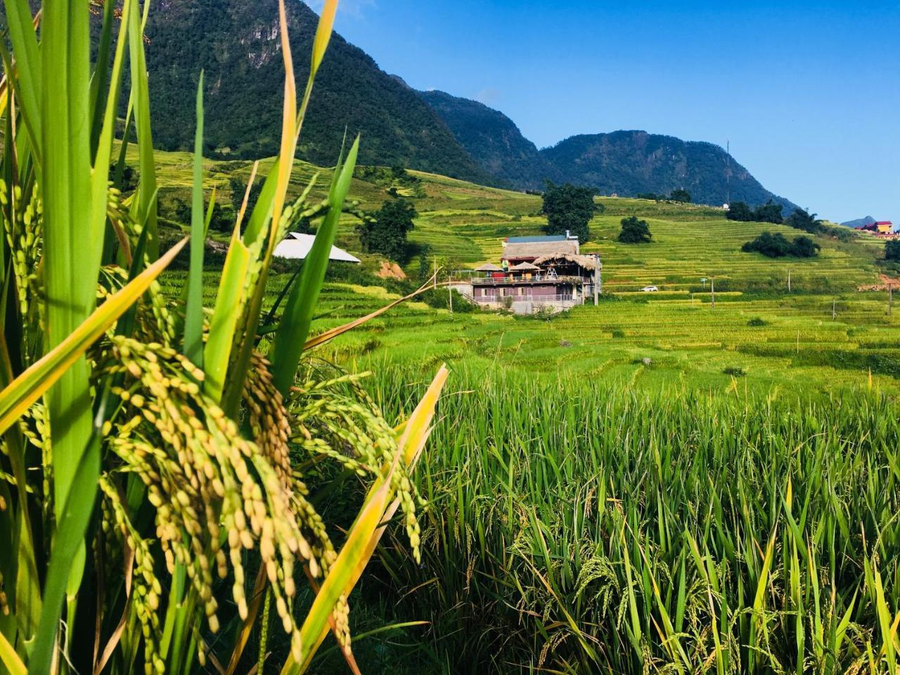 Hoa'S Homestay Sapa Exterior photo